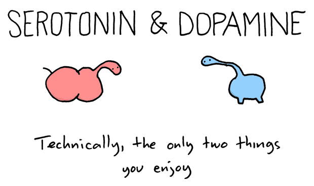 serotonin-and-dopamine